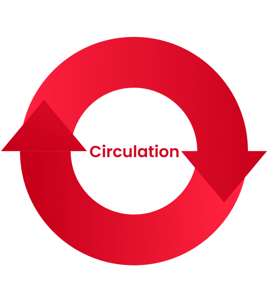 Circulation Image