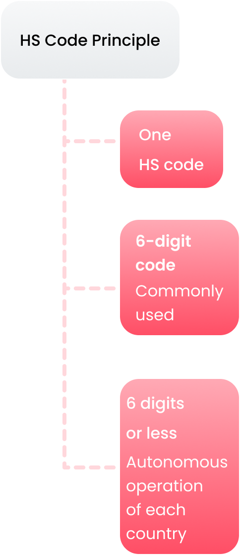 HS Code Principle : One HS code, 6-digit code(Commonly used), 6 digits or less (Autonomous operation of each country)