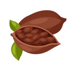 Cocoa Beans Image