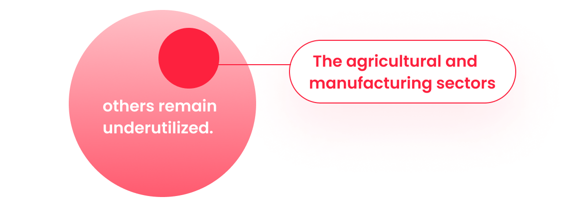 others remain underutilized. The agricultural and manufacturing sectors