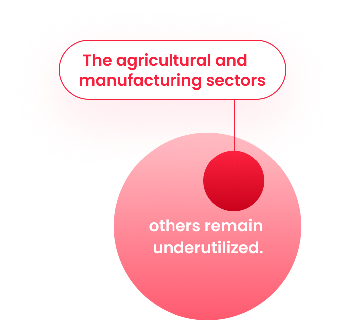 others remain underutilized. The agricultural and manufacturing sectors