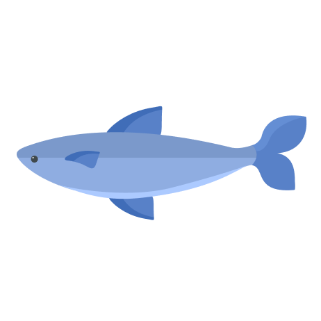 Fish image