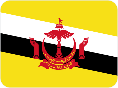 Brunei Flag