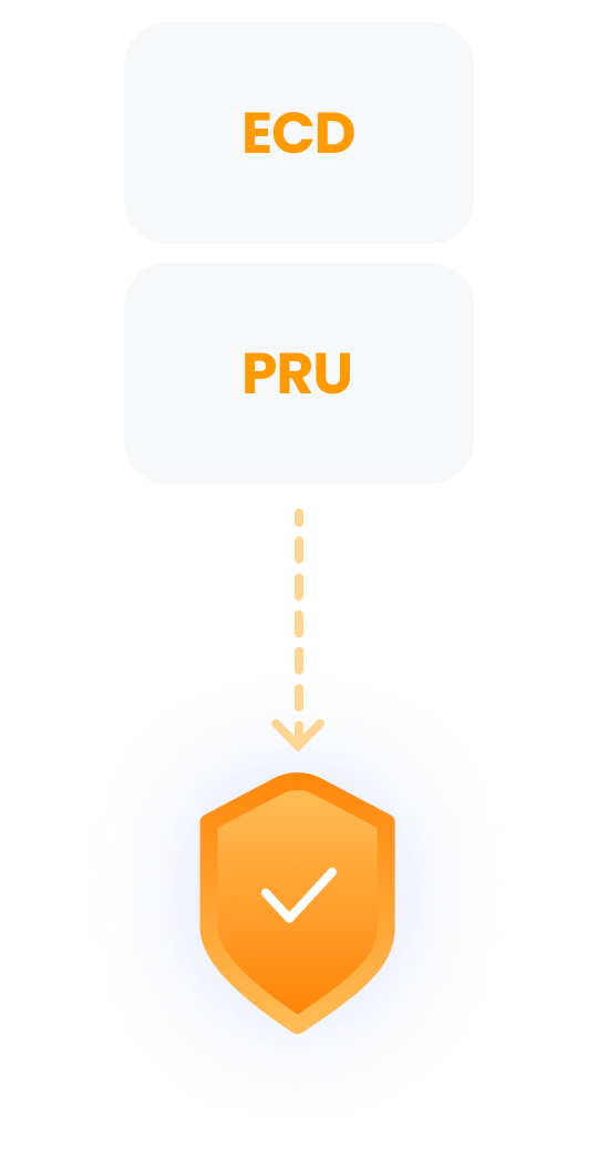 ECD, PRU image